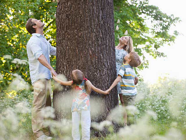 Tips to Help Children Connect With Nature